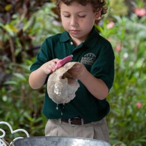 Cleaning Shells, Rocks, And License Plates