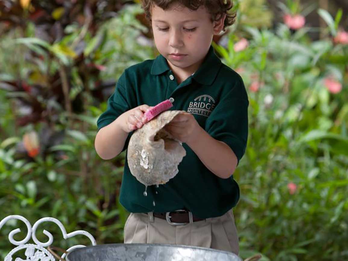 Cleaning Shells, Rocks, And License Plates