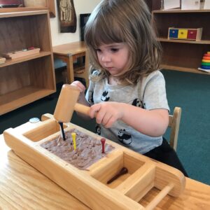 Unlock Your Child’s Motor Skills with a Fun Montessori Activity: Hammering