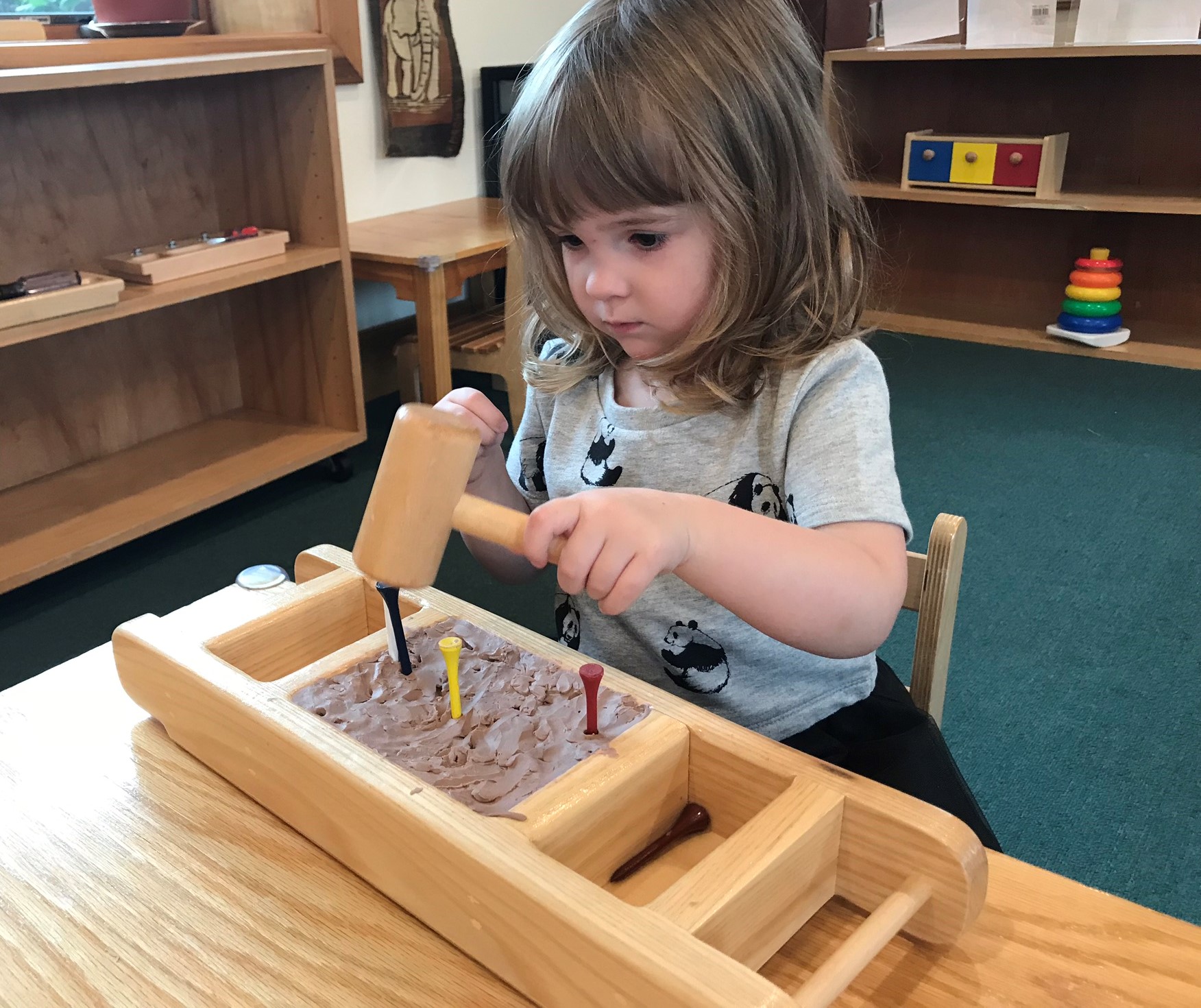 Unlock Your Child’s Motor Skills with a Fun Montessori Activity: Hammering