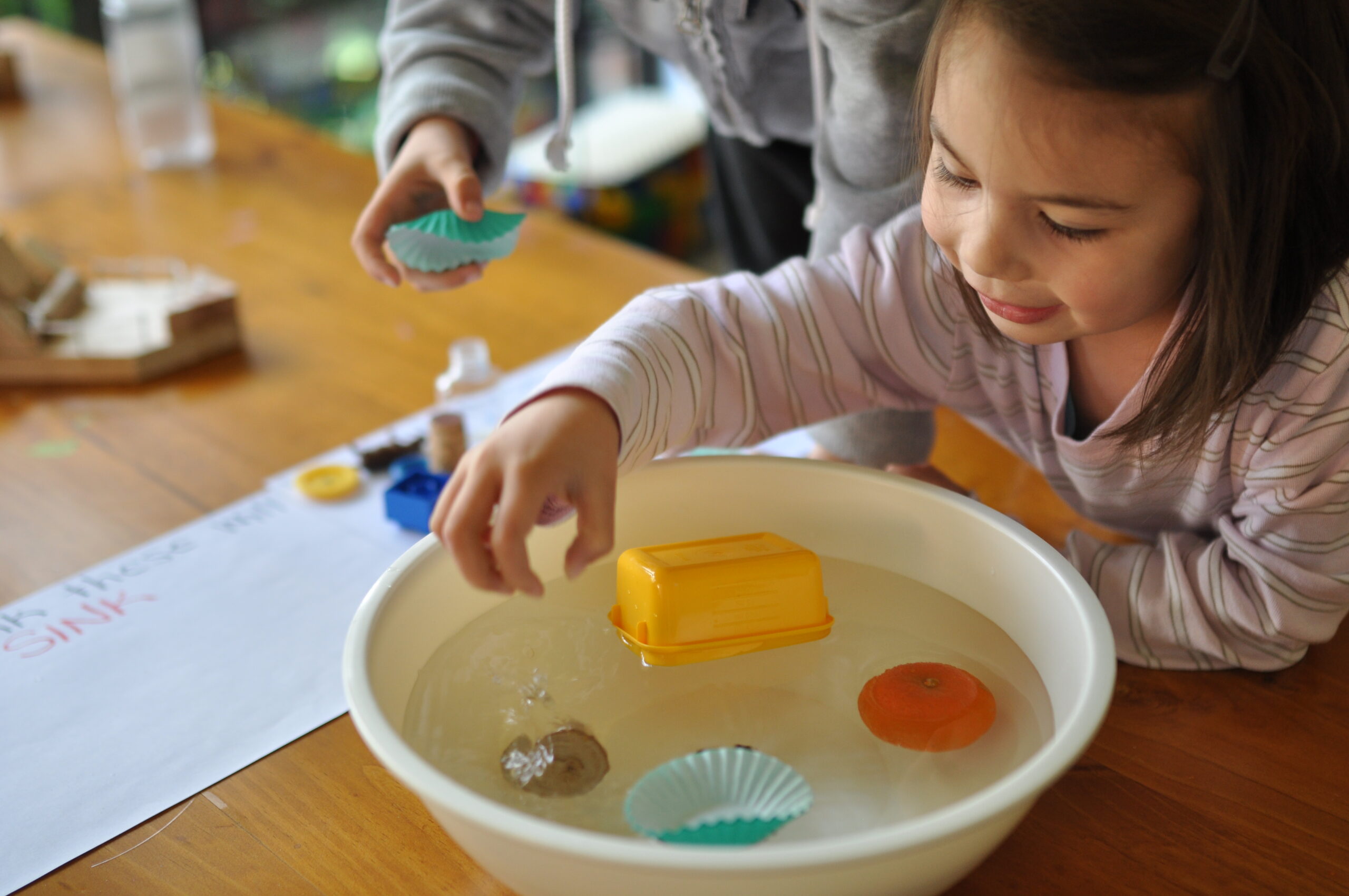 Sink or float montessori