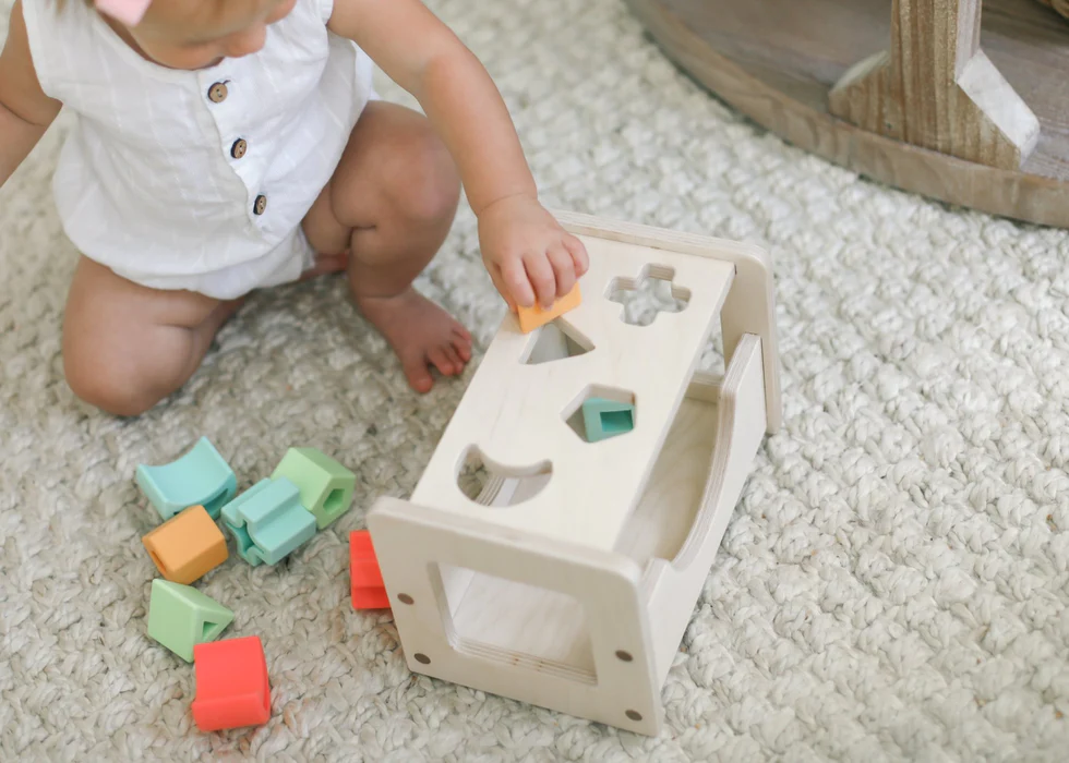 Shape Sorter